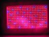 Led grow light 300 w