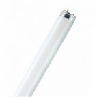 Лампа люминесцентная Philips TLD 18W/830 G13 тепло-белая Philips