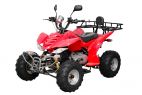 Спортивный квадроцикл Armada ATV 150A(8')