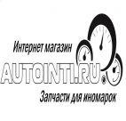 Autointi.ru, Интернет-магазин
