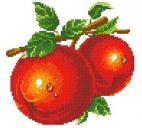 Красные яблоки АЖ-1071