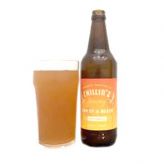 Пиво Chillinz Sun of a Beach Mosaic Summer Ale Светлое эль 4% 0,5л