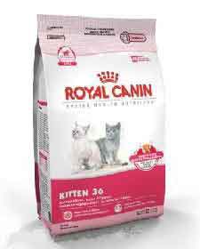 Сухой Корм Royal Canin (Роял Канин) Feline Health Nutrition Kitten 36 Для Котят от 4 до 12 Месяцев 400г (1*12) .Royal Canin