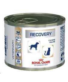 Лечебные Консервы Royal Canin (Роял Канин) Veterinary Diet Feline/Canine Recovery Для Кошек и Собак При Анорексии и Выздоровлении 195г .Royal Canin
