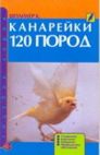 Книга Канарейки 120 Пород Шпайхер Прочее