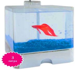 Отсадник Аа Aqua Box Betta (Аква Бокс Бетта) 3л для Петушков 15*15*17см Прочее