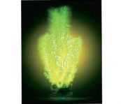 Растение Светящееся Нинелла 27,5см Р14LGL Прочее