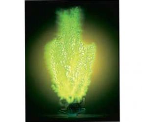 Растение Светящееся Нинелла 27,5см Р14LGL Прочее