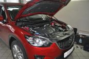 Газодинамический упор капота для Mazda CX5 (c 2011г. - )