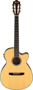 IBANEZ AEG10NII-NT гитара электроакустическая с нейлоновыми струнами, цвет натуральный