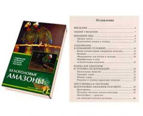 Книга Белоголовые Амазоны Рахманов А. Прочее