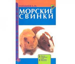 Книга Морские Свинки Рахманов А. Прочее