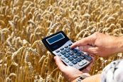 Бизнес план для получения гранта и субсидии сельхозпроизводителям