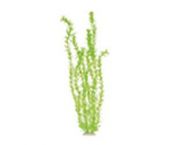 Растение Для Аквариума Платик 46см Зеленое Cqs4601-4635 Прочее