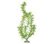 Растение Для Аквариума Пластик 19см Зеленое Cqs1901-1935 Прочее