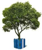 Пумори-спорт 
				700.821 Ограждение для деревьев