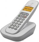 Радио-телефон Texet TX-D4505A White grey