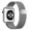 Смарт-часы Apple Смарт-часы Apple Watch 38 мм Нержавеющая сталь Серебристый, Миланский сетчатый браслет Серебристый (MJ322RU/A)