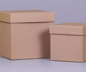 Квадратные коробки для цветов и подарков