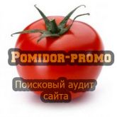 Поисковый аудит сайта