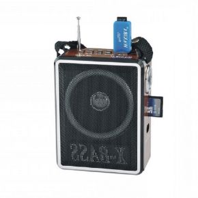 Радиоприемник Waxiba XB-905U (USB)
