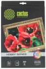 Фотобумага Cactus CS-СA426010 210x297 мм 300 г/м2 10 л хлопковый холст покрытие CACTUS