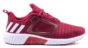 Adidas Climacool кроссовки (размеры 41-45) BA8986 Adidas