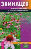 Эхинацея в лечении вирусных и кожных заболеваний