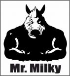 Mr.Milky (Мр.Милки), Интернет магазин