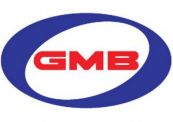 GMB gh32160 комплект подшипника ступицы колеса *gmb  GMB